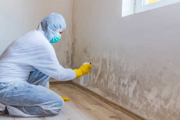 Hvac And Air Duct Mold Remediation inspection of HVAC system in Hertford